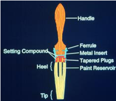 Paint Brush India