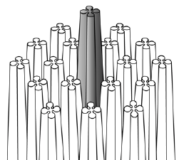 Paint Brush Filaments